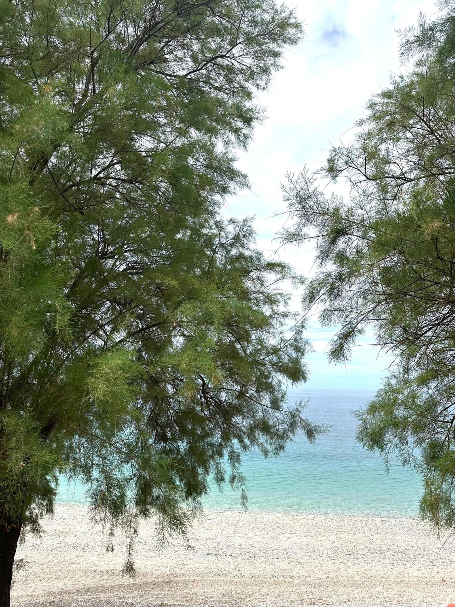 Potami Seashell Ξενοδοχείο Χειμάρρα Εξωτερικό φωτογραφία